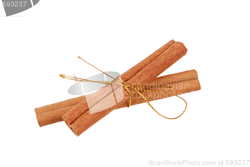 Image of Cinnamon