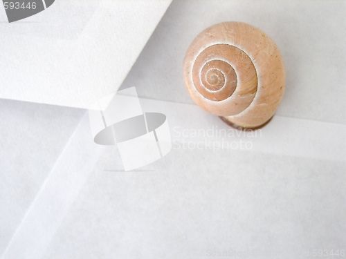 Image of snail