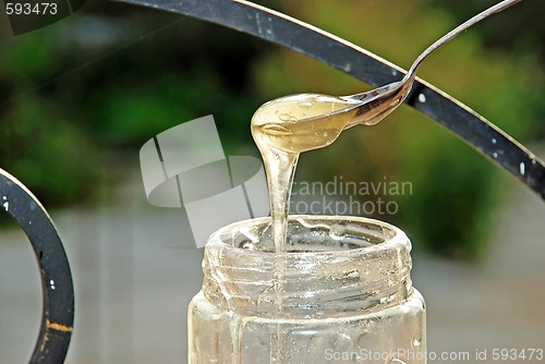 Image of honey on sunlight