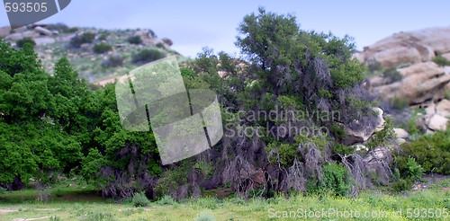 Image of Santa Susana Mountains