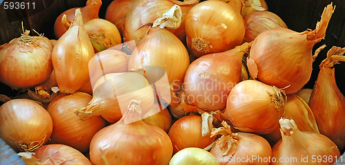 Image of Orange Onions Background