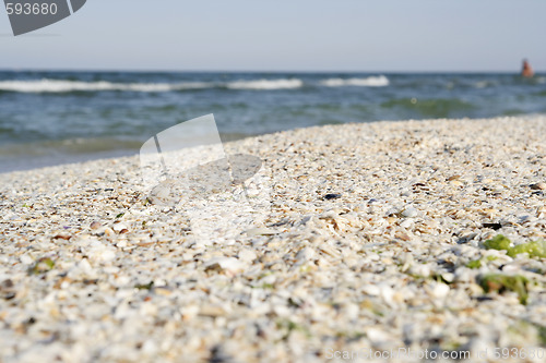 Image of summertime at the beach.