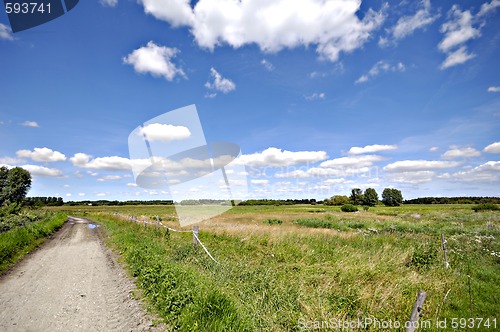 Image of Path and landscape