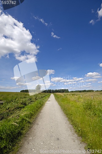 Image of Road and nature