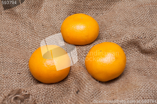 Image of Three tangerines