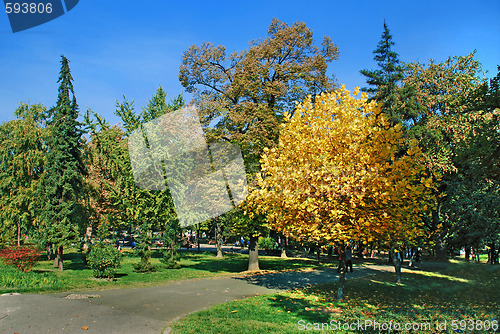 Image of Autumn park landscape