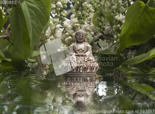 Image of Buddha under trees