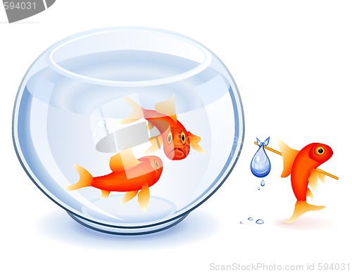 Image of Goldfish emancipation