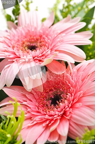 Image of Flower arrangement