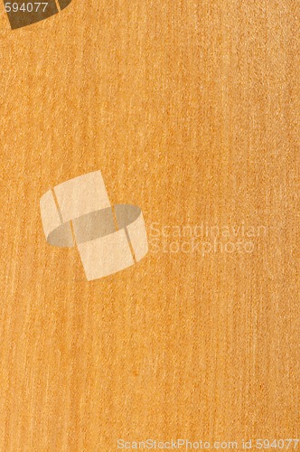 Image of Pre-finished hardwood floor sample