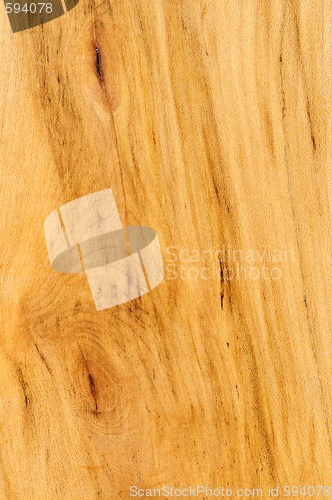 Image of Pre-finished hardwood floor sample