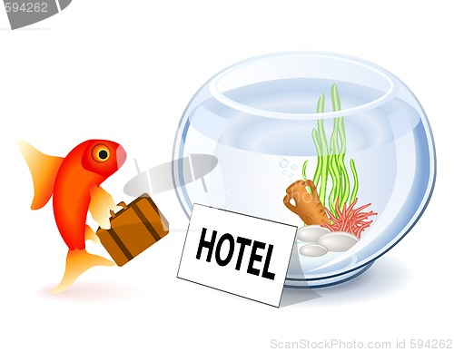 Image of Goldfish Hotel