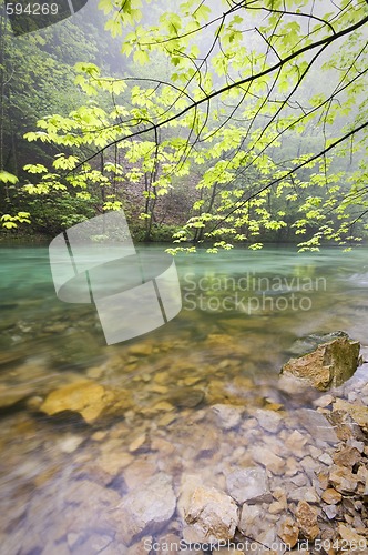 Image of Calm river