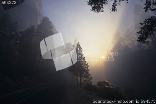 Image of U.S.A. / California