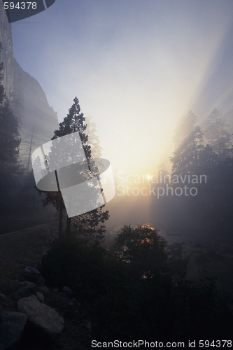 Image of U.S.A. / California