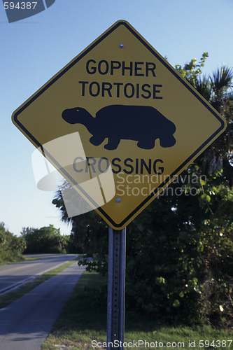 Image of Turtle, Roadsign, Florida, U.S.A.