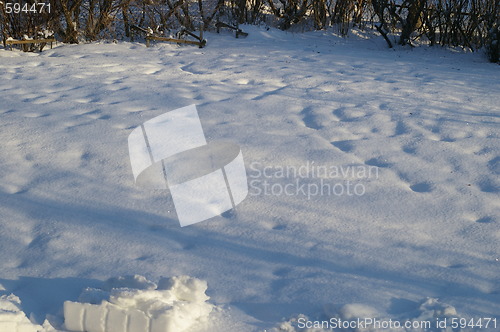 Image of Snow