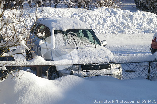 Image of Winter