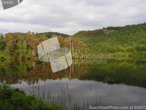 Image of Reflections in water