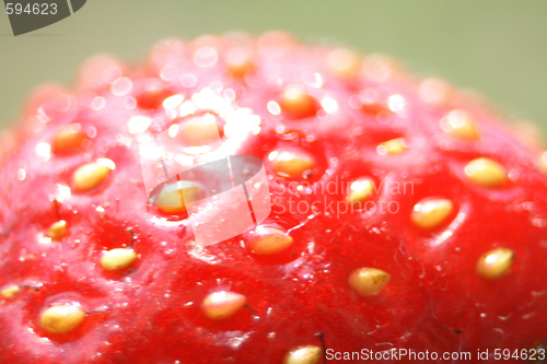 Image of strawberry