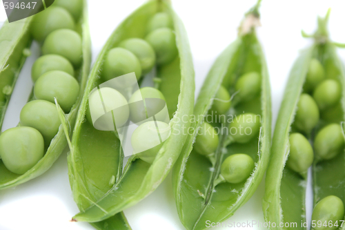 Image of pea