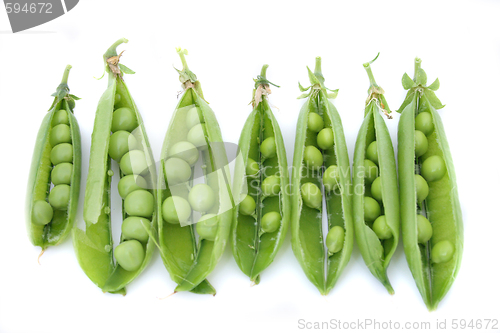 Image of pea