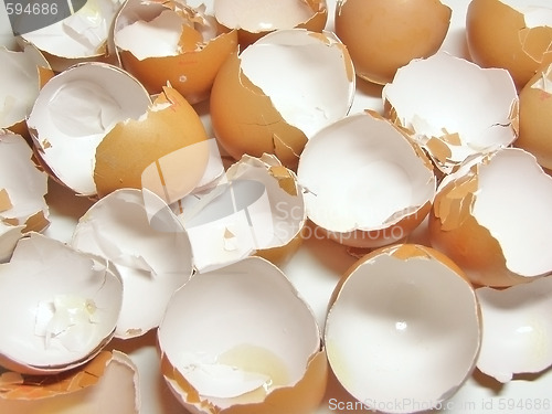 Image of eggshel