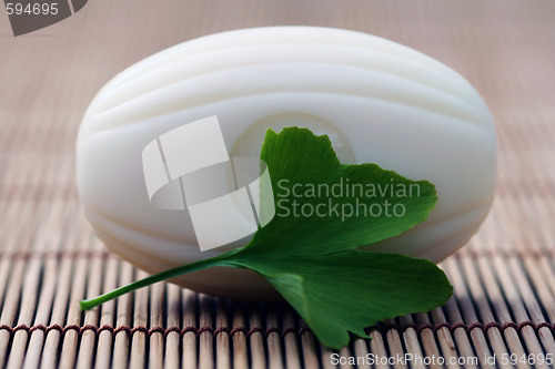 Image of ginko soap