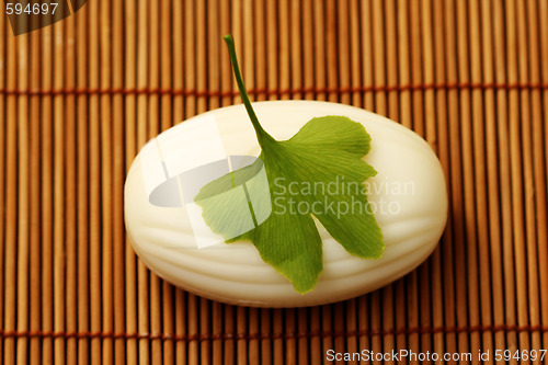 Image of ginko soap