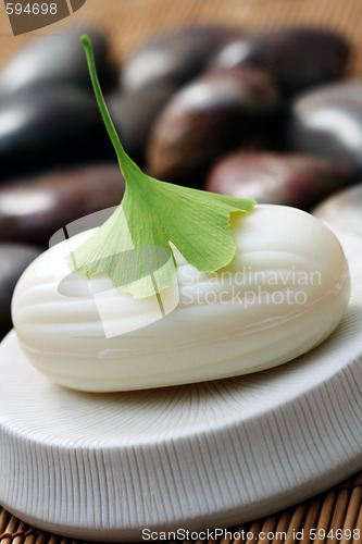 Image of ginko soap