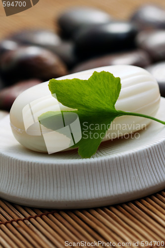 Image of ginko soap