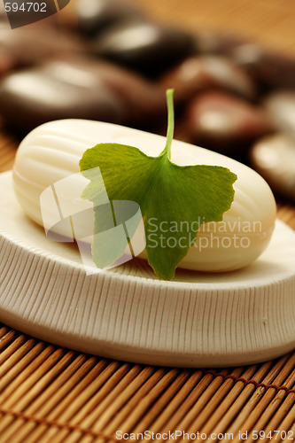 Image of ginko soap