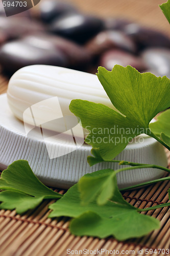 Image of ginko soap