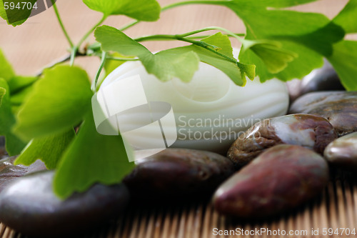 Image of ginko soap