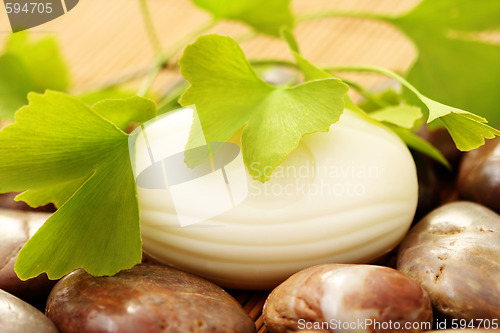 Image of ginko soap