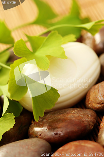 Image of ginko soap