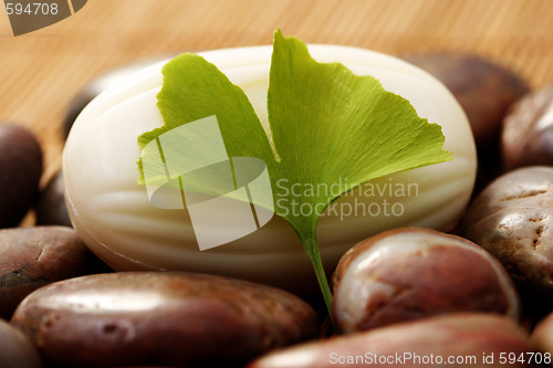 Image of ginko soap