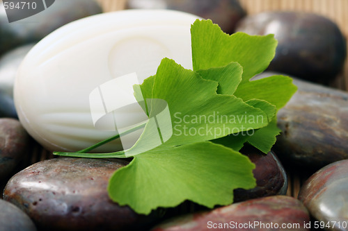 Image of ginko soap