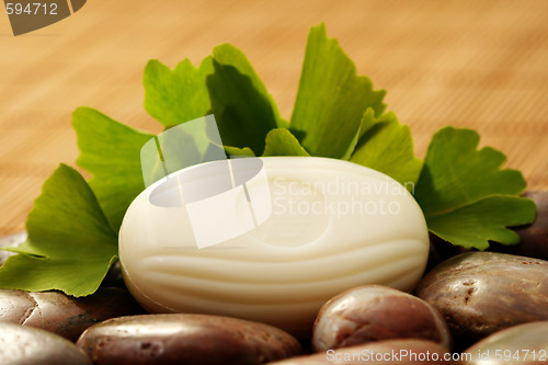 Image of ginko soap