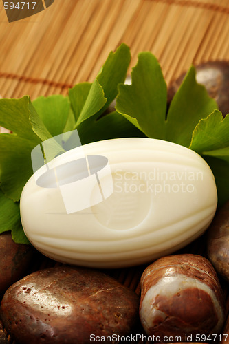 Image of ginko soap