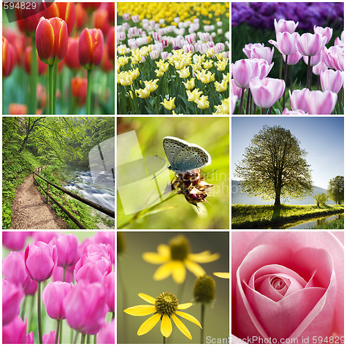 Image of Flower collage