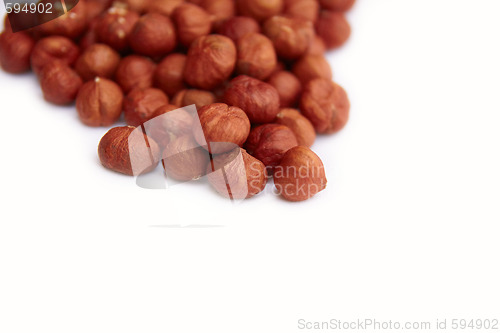 Image of Hazelnuts