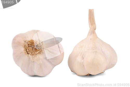 Image of Garlic