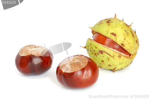 Image of Chestnuts