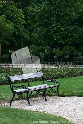 Image of Empty bench in park