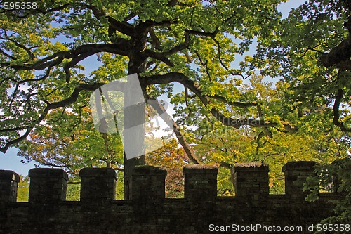 Image of Saalburg Roman Fort