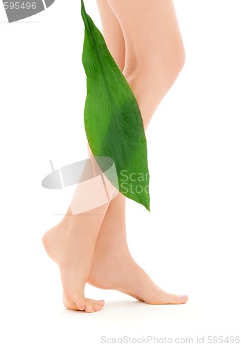 Image of female legs with green leaf