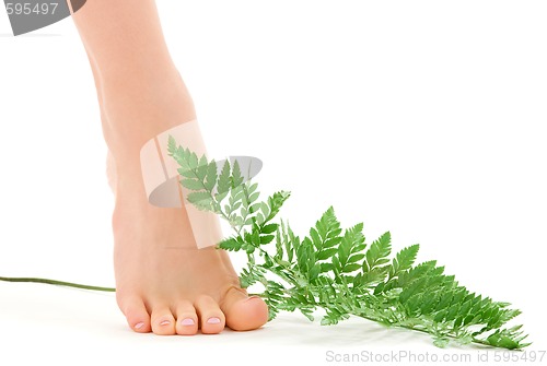 Image of female foot with green fern leaf