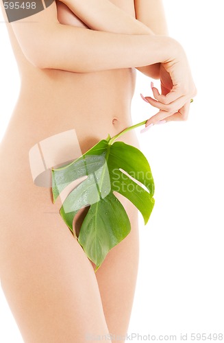 Image of female torso with green leaf over white