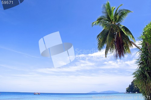 Image of Tropical Island